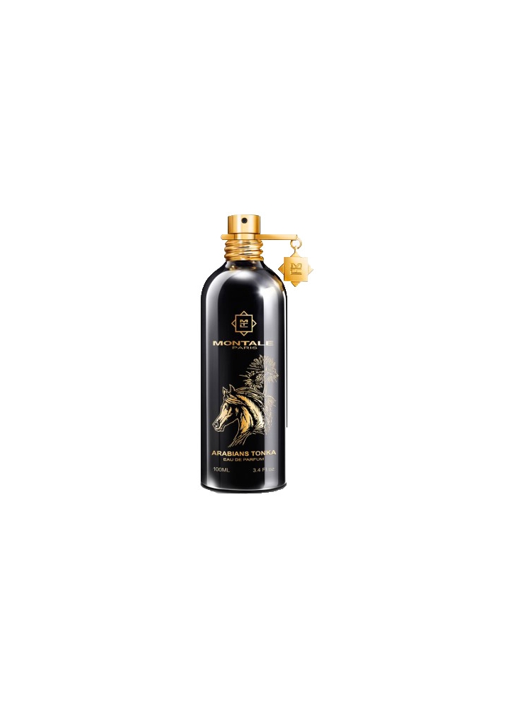 Montale Paris ARABIANS TONKA 100 ML EDP