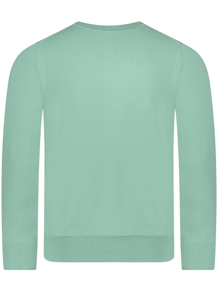 Polo Ralph Lauren  710-890558-Z25 508 FADED MINT