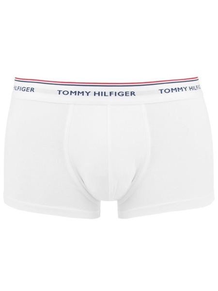 Tommy Hilfiger  1u87903842 100